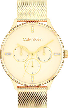 Часы Calvin Klein Multifunction 25200372